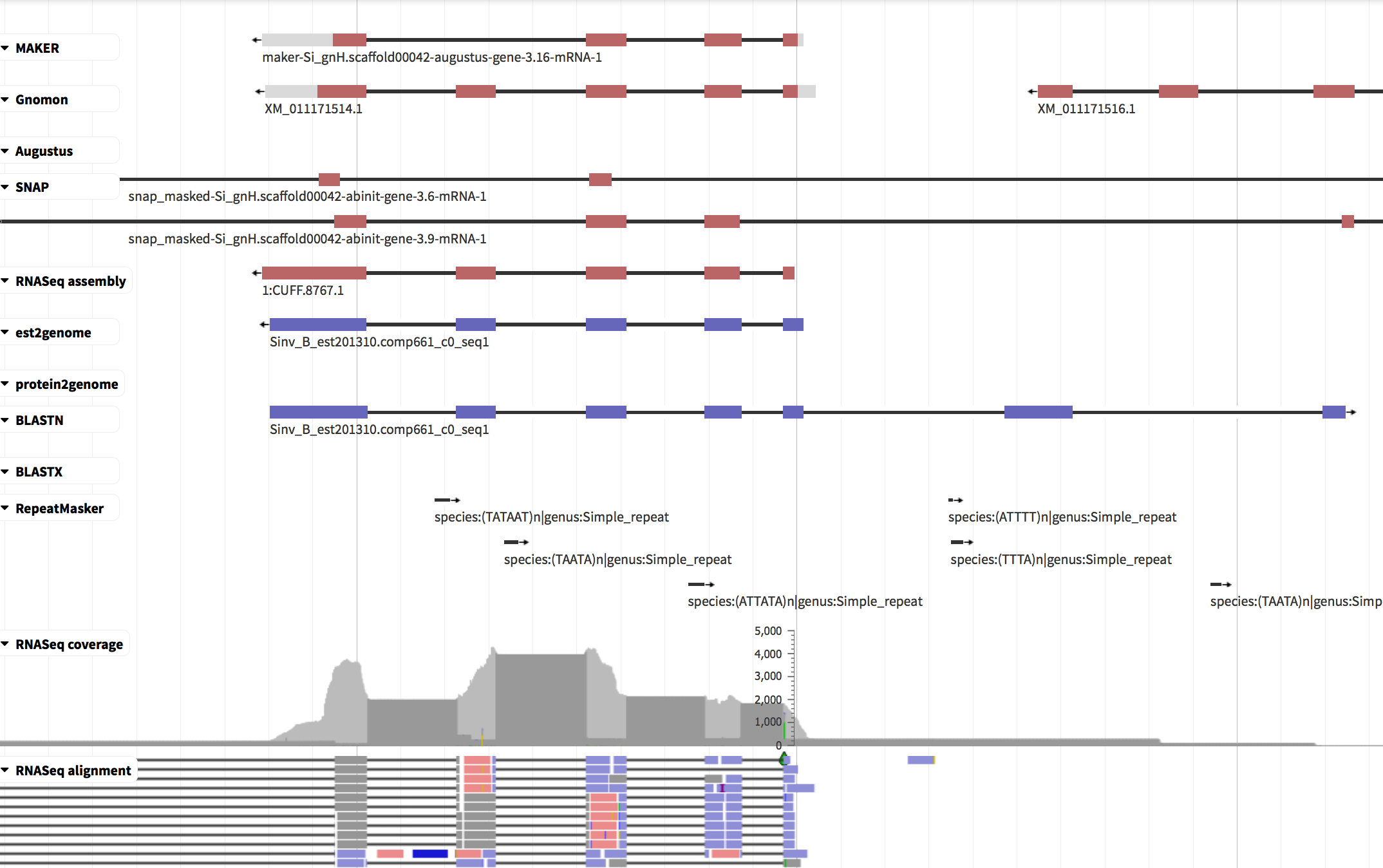 Screenshot of afra with gene missing an exon