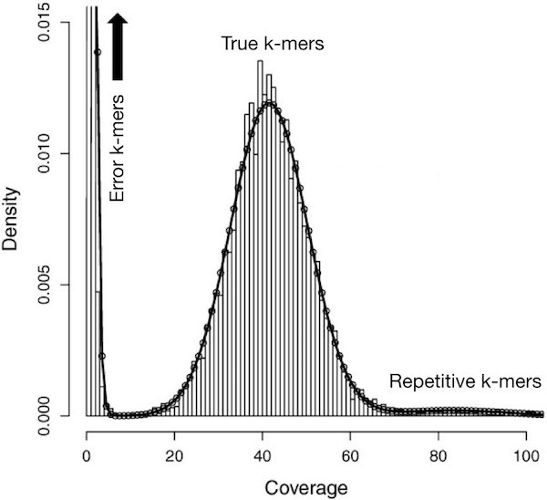 kmer distribution graph from UCSC