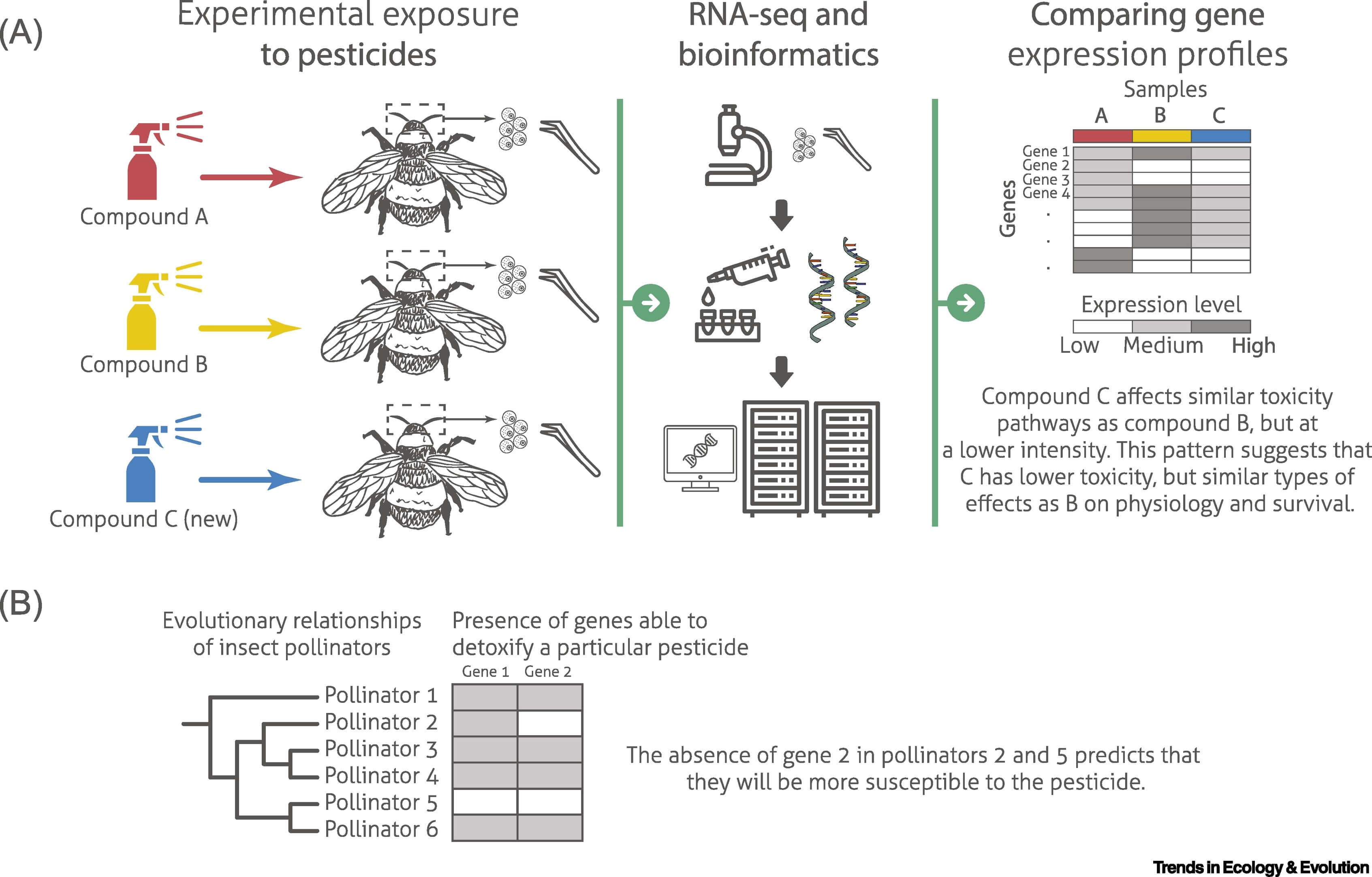 Applications of Molecular Diagnostic Approaches