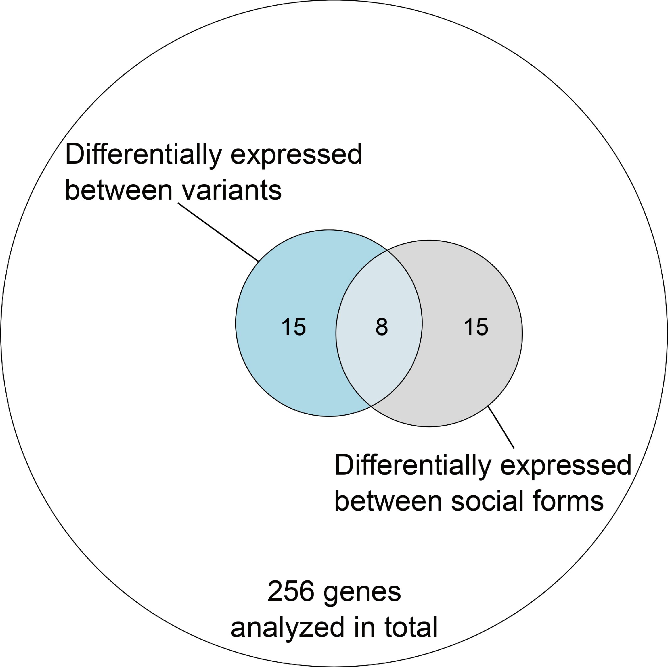Overlap of genes with expression differences