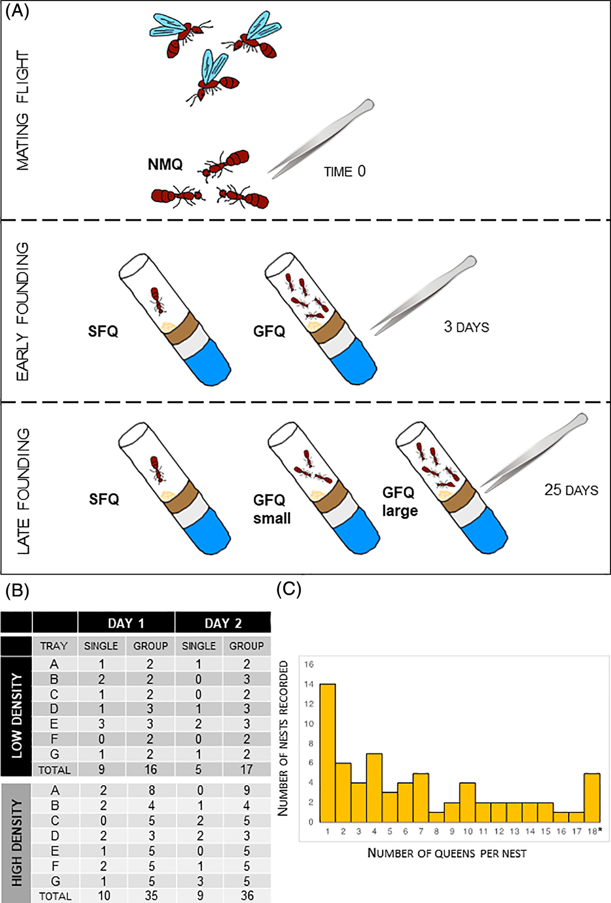 Experimental setup and sample collections