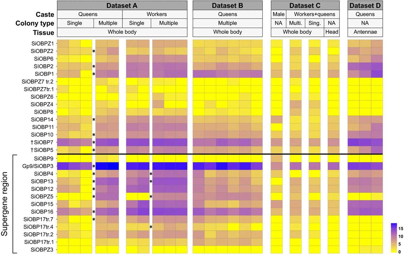 Expression patterns for all analyzed RNAseq datasets