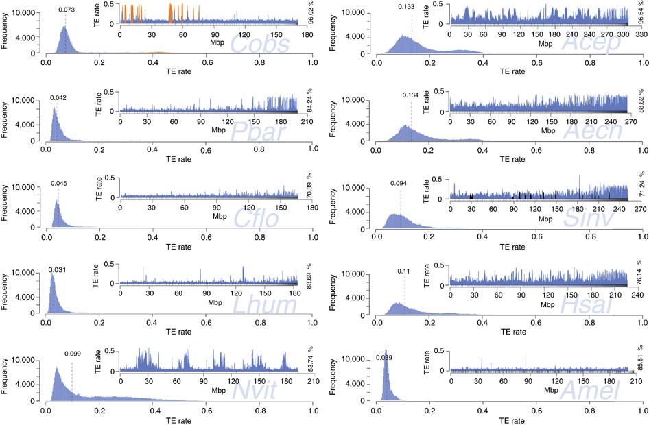 Frequency and distribution