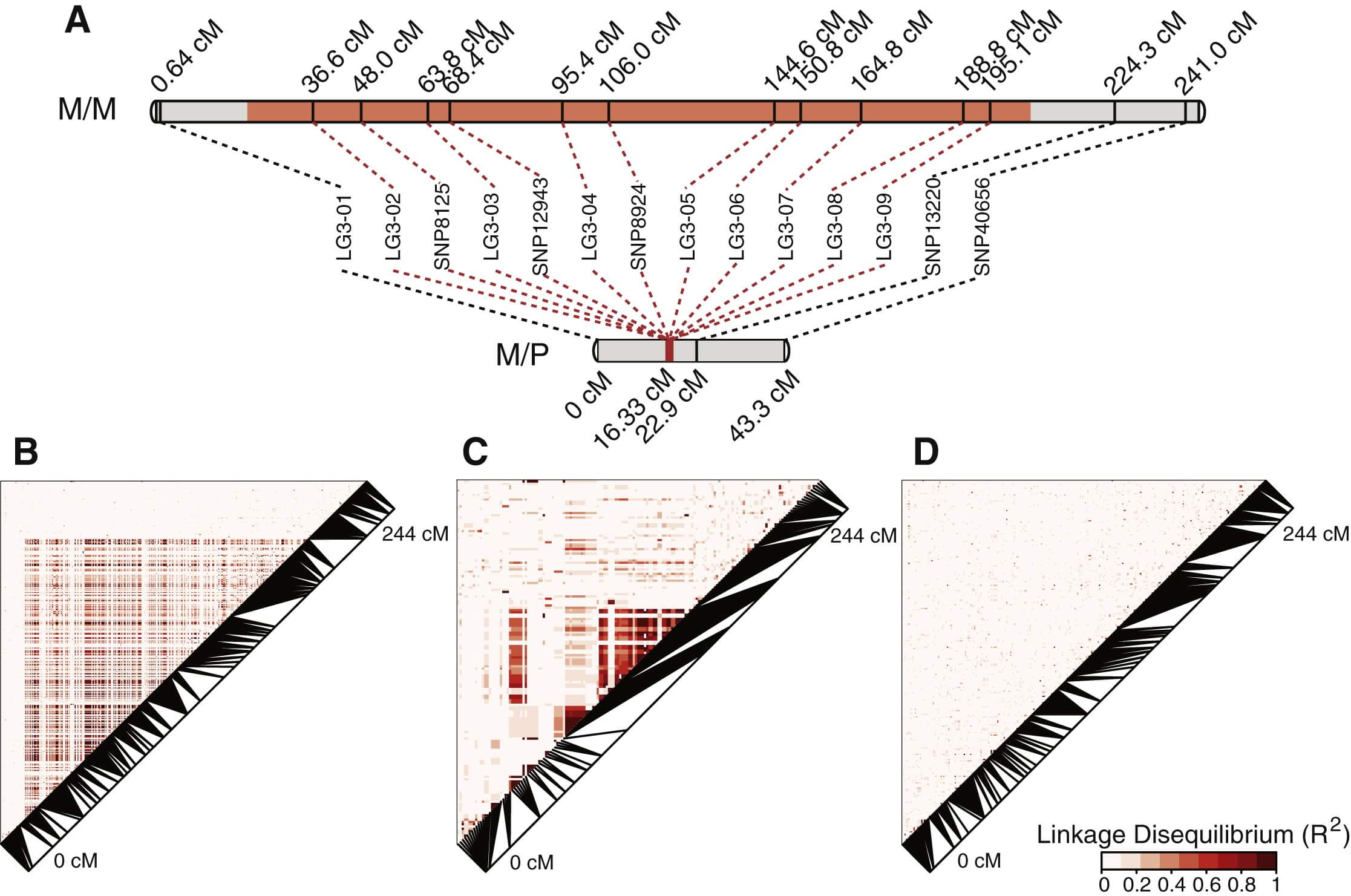 Recombination Is Suppressed