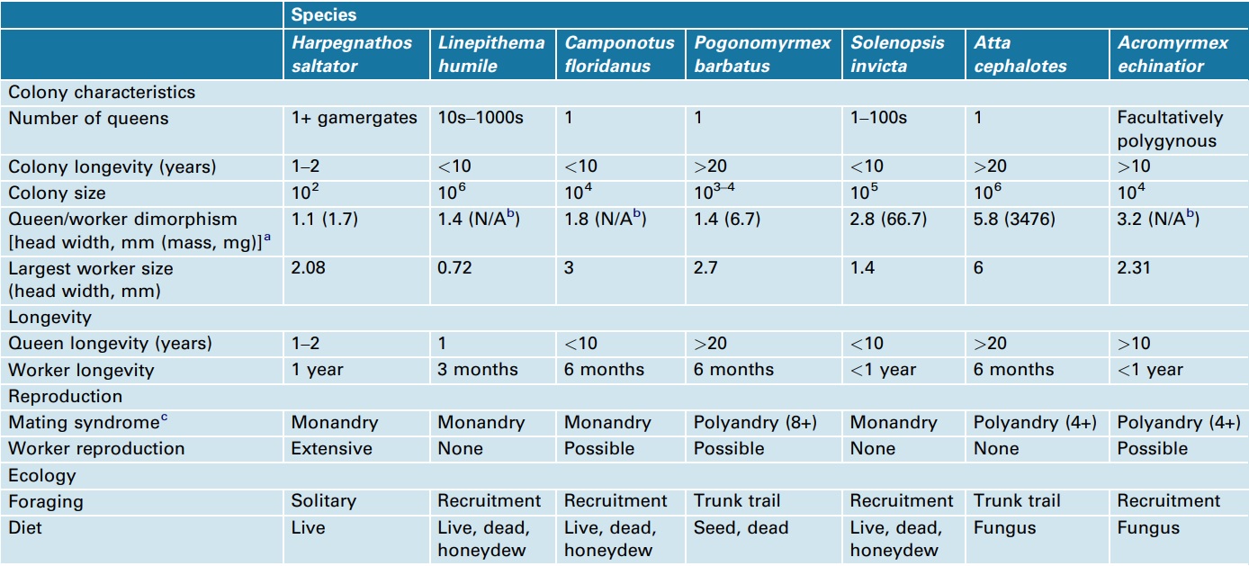 Comparison of biological differences