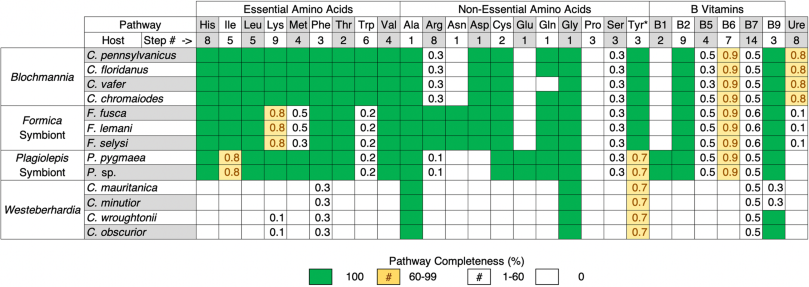 Comparison of the retention and losses of metabolic pathways