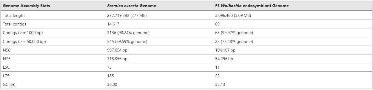 Genome assembly statistics