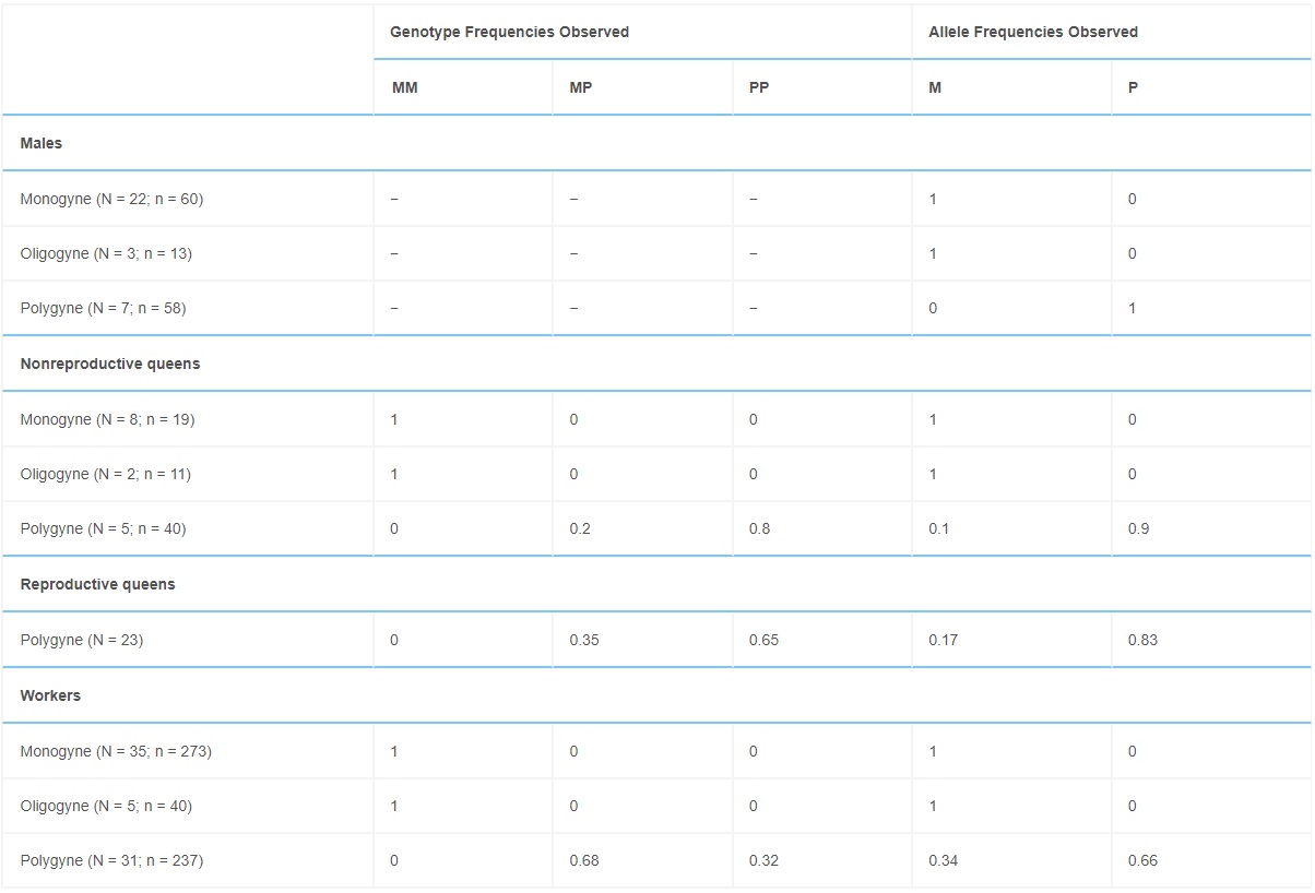 Genotype and Allele Frequencies