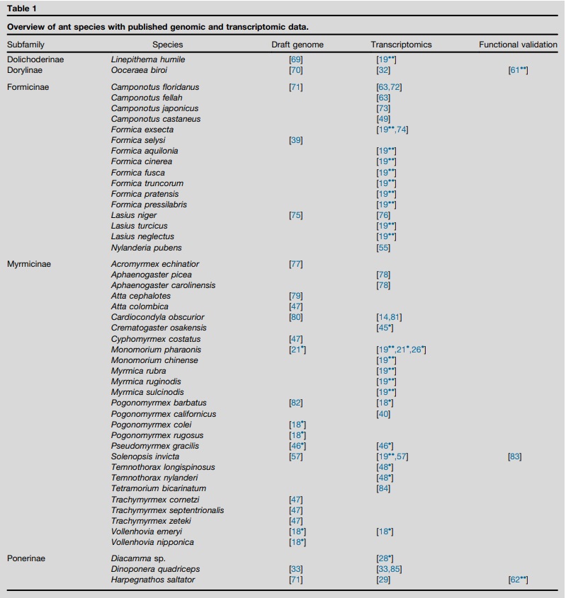 Overview of ant species with published genomic and transcriptomic data