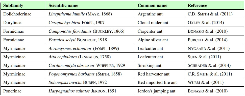 Overview of currently sequenced ant genomes