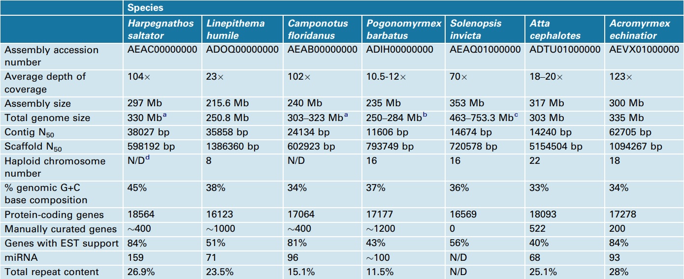 Comparison of ant genomes