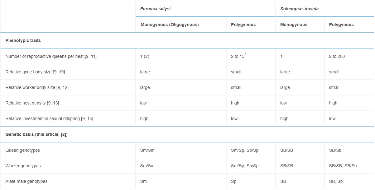 Comparison of the Social Organization