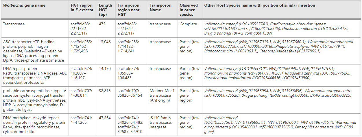 HGT inserts from Wolbachia present in the genome