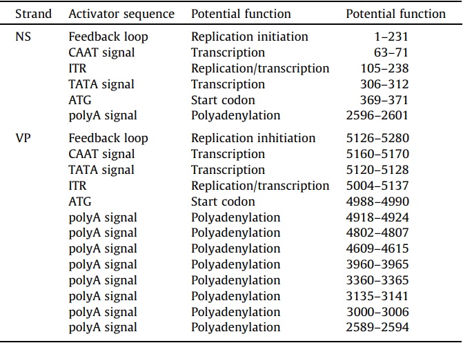 Possible regulatory sequences