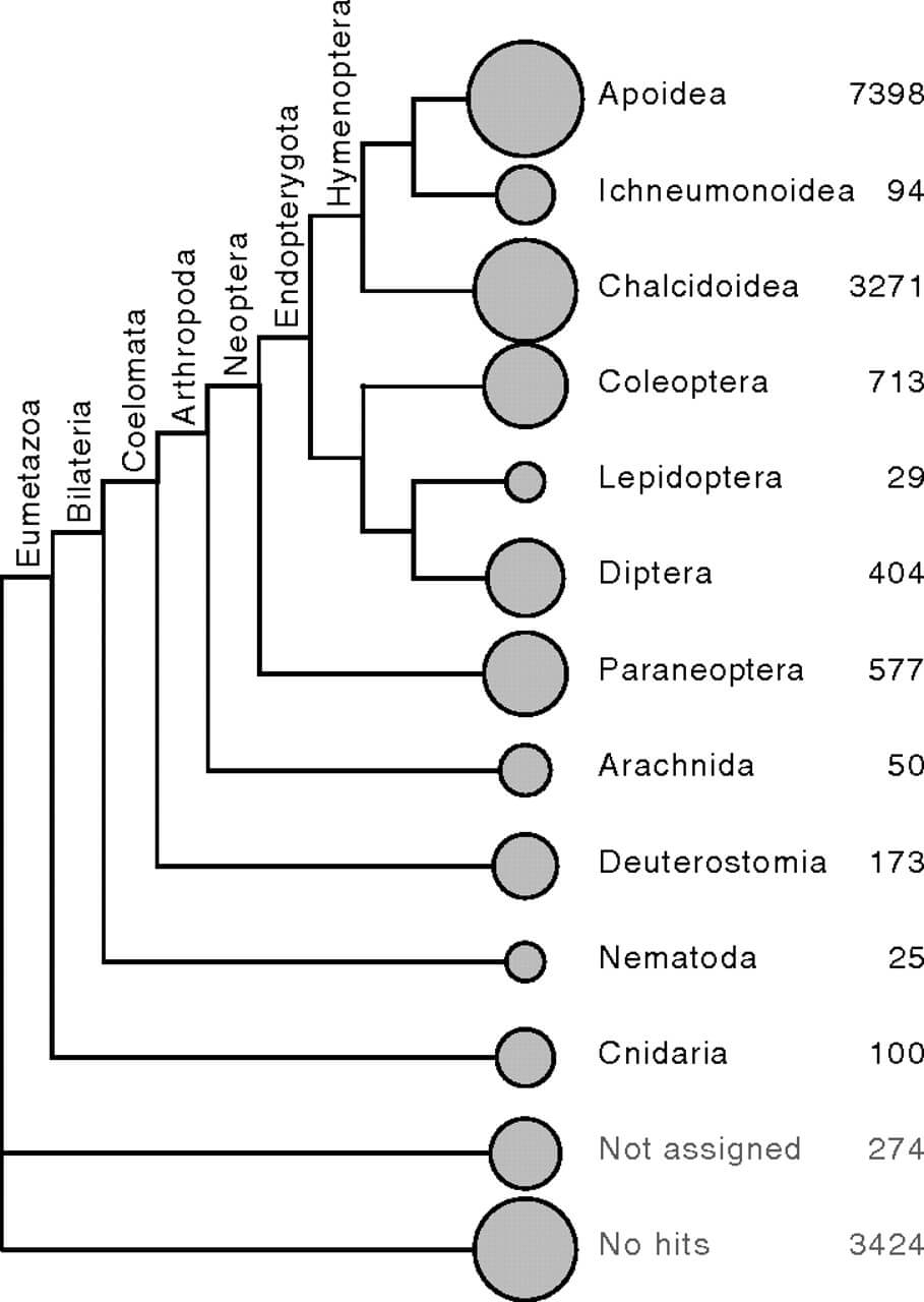 Taxonomic distribution of best blastp hits