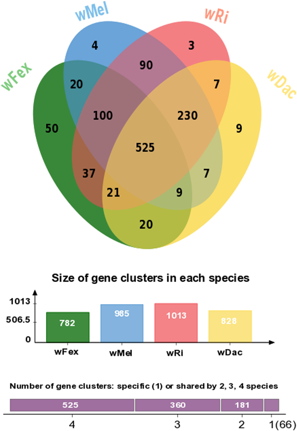 Venn diagram displaying the overlap in orthologous genes