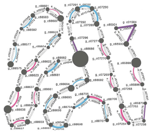 TGNet - evalutate genome quality with an independent transcriptome